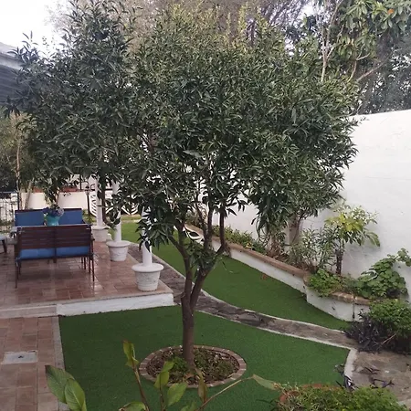 Edera Apartment